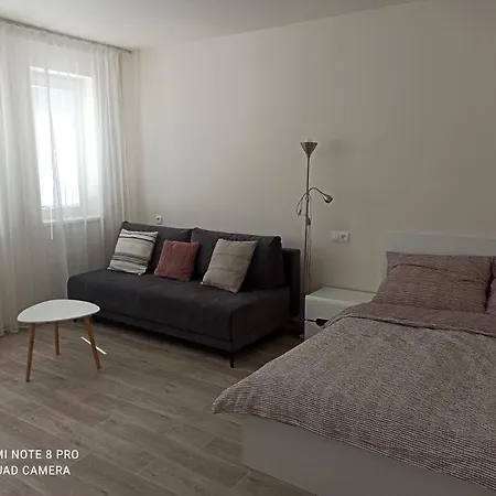 Jednopokojovy Byt, Kuchyn, Koupelna S Wc, Predsin, Ulozny Prostor Pro Kola, Parkovaci Stani *