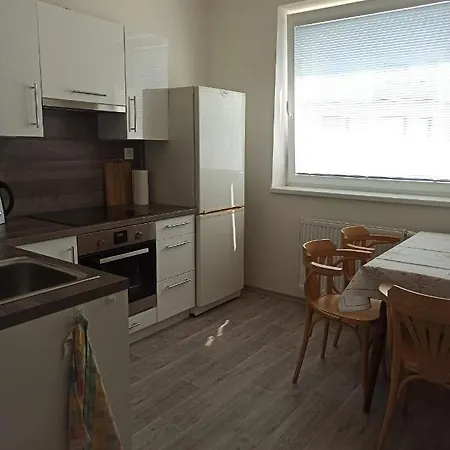 Jednopokojovy Byt, Kuchyn, Koupelna S Wc, Predsin, Ulozny Prostor Pro Kola, Parkovaci Stani *